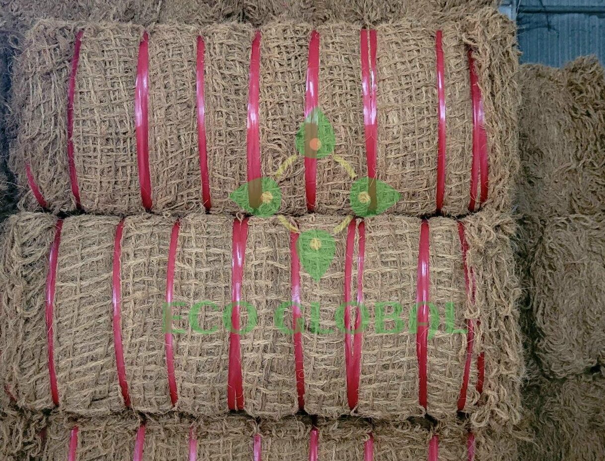 Trang Chủ 9 Z4903864998062 E0E1C8D611A35F5D1Dbebc9237D0Fa95 E1700622445639