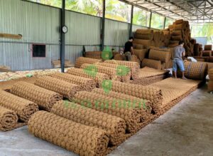 Z4903891813152 21C377F36C2F03064645F2Da4A4E9434 E1700623018128