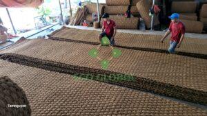 Z4903895925621 51611A047787E62C7789E50C6Ce6907D